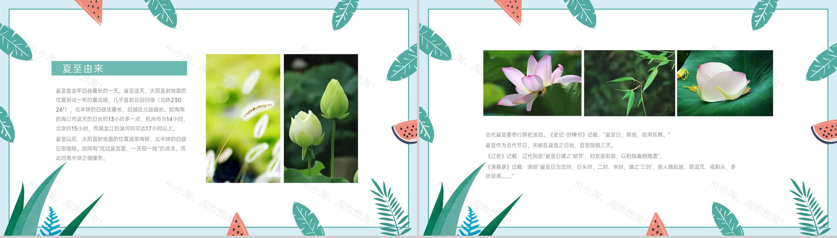 青色小清新二十四节气之夏至节气由来及习俗介绍PPT模板-3