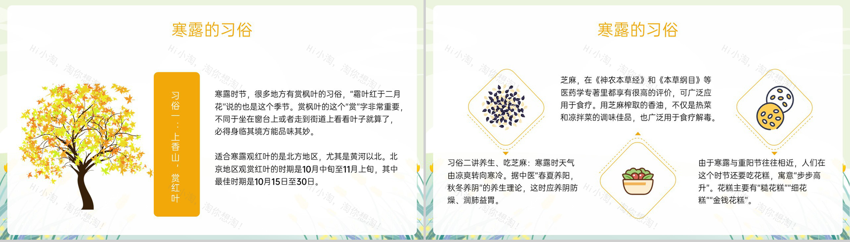 黄色小清新二十四节气寒露节气介绍寒露的三候PPT模板-8