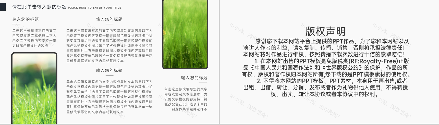 绿色简约风立春节气传统文化介绍PPT模板-10