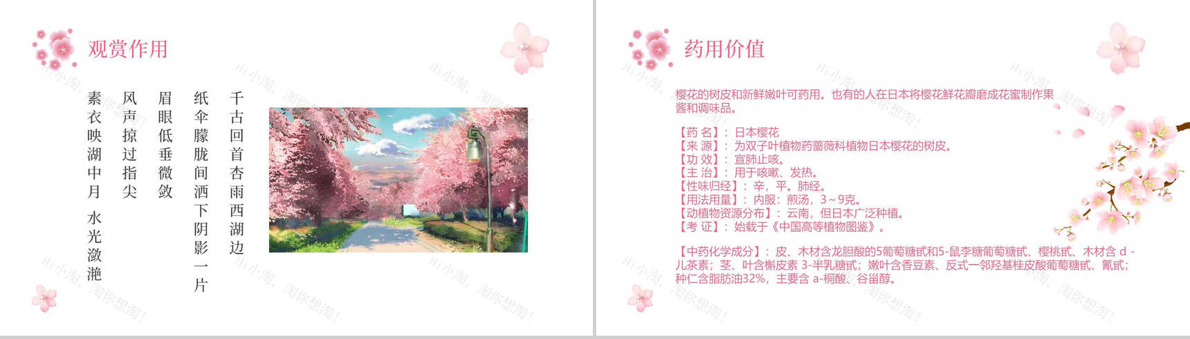 遇见樱花遇见最美的你樱花节主题PPT模板-4