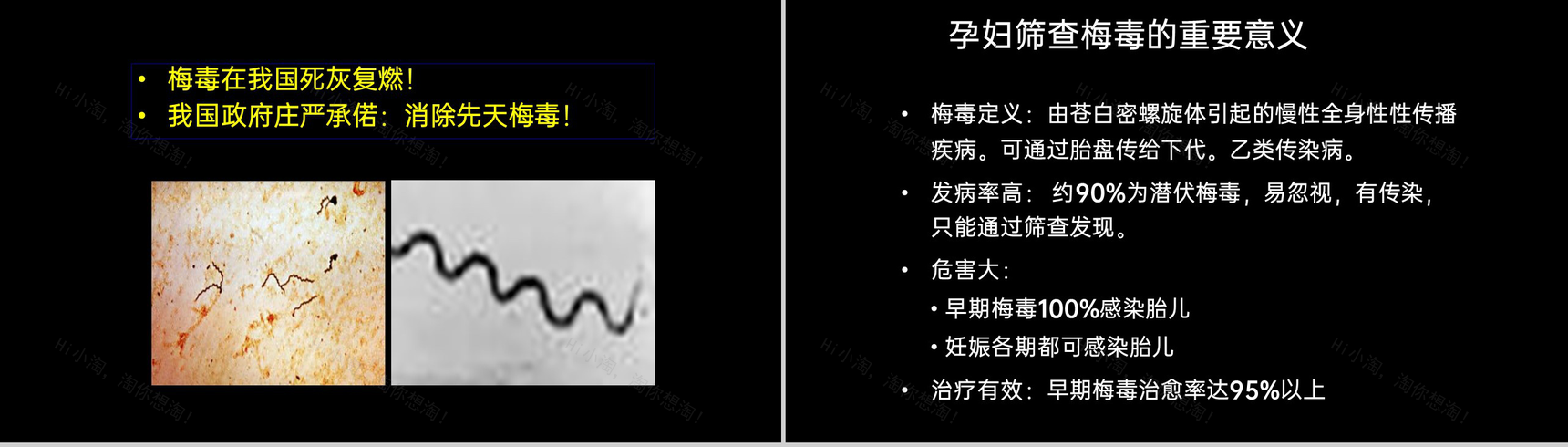 黑色简约预防艾滋病梅毒乙肝母婴三病阻断传播知识PPT模板-9