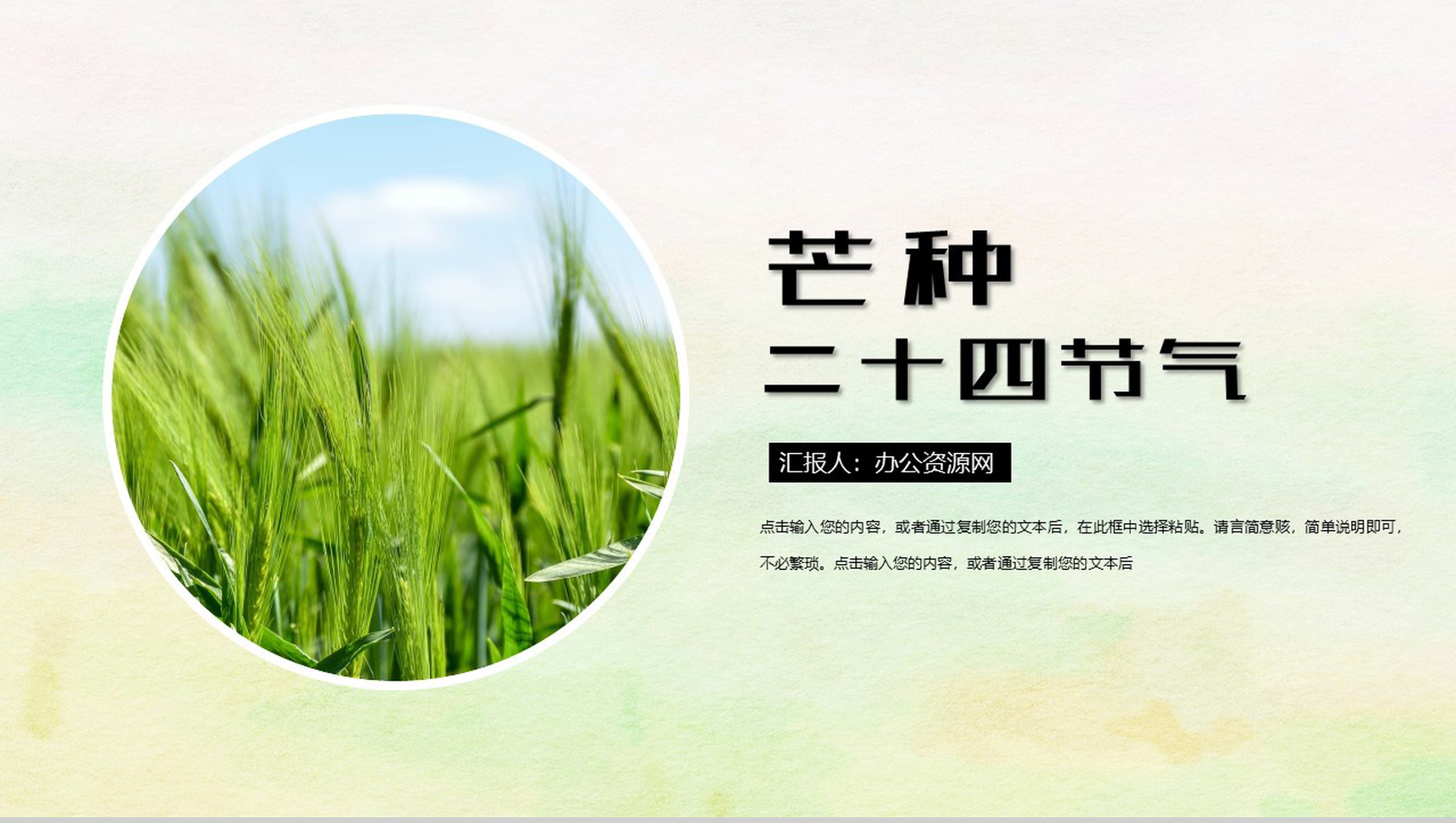 绿色简约清新二十四节气之芒种PPT模板