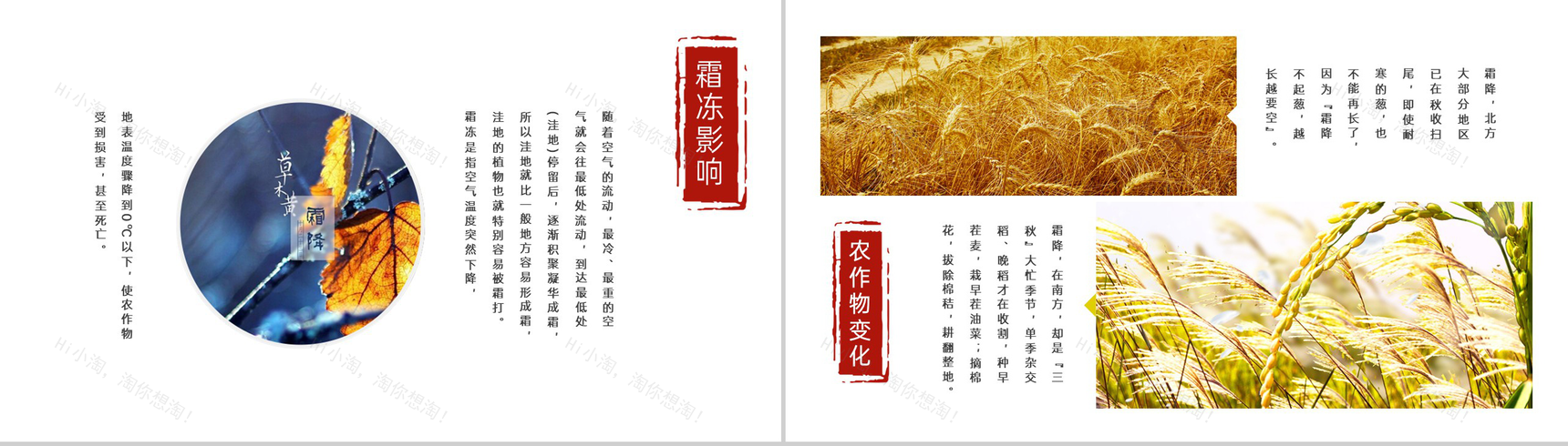 红色简约小清新风二十四节气霜降主题班会PPT模板-7