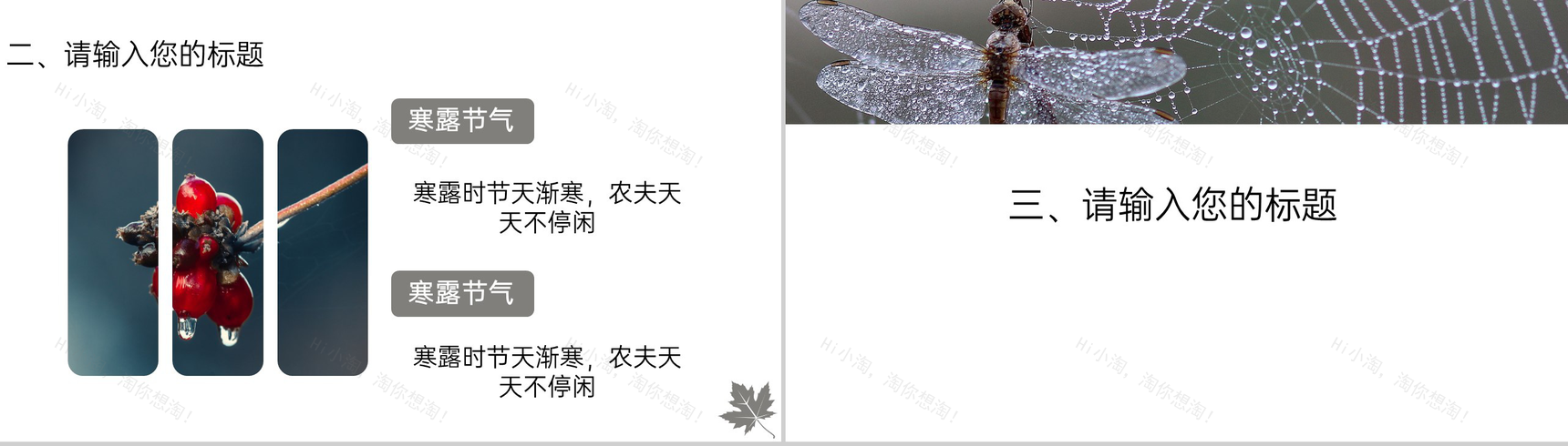灰色简约风传统节气寒露主题工作汇报总结PPT模板-6