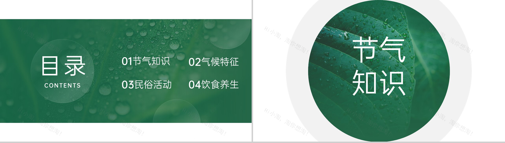 绿色简约小清新风二十四节气介绍之寒露的由来PPT模板-2