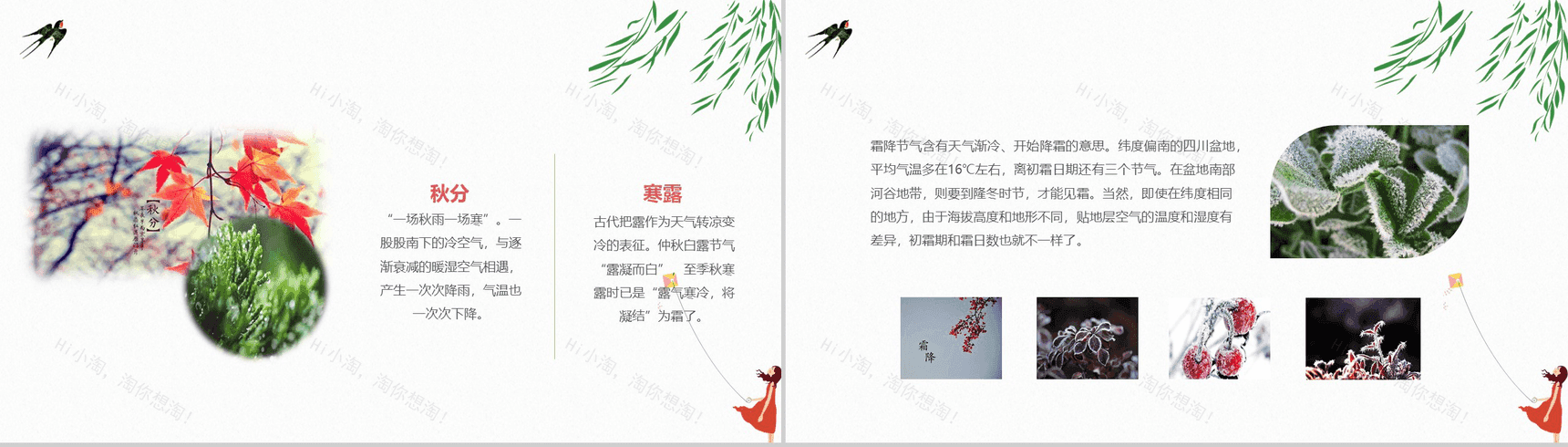 清新唯美学生中华二十四节气教学PPT模板-8