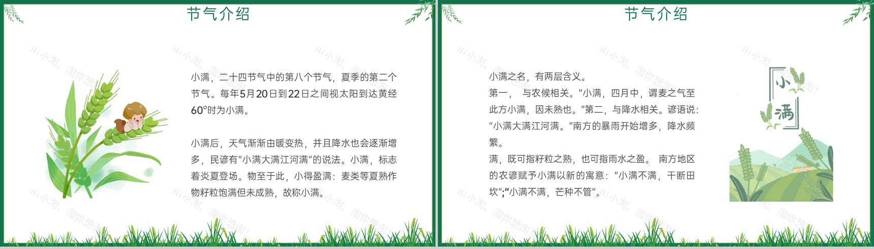 绿色简约风小满麦粒渐满二十四节气小满介绍PPT模板-3