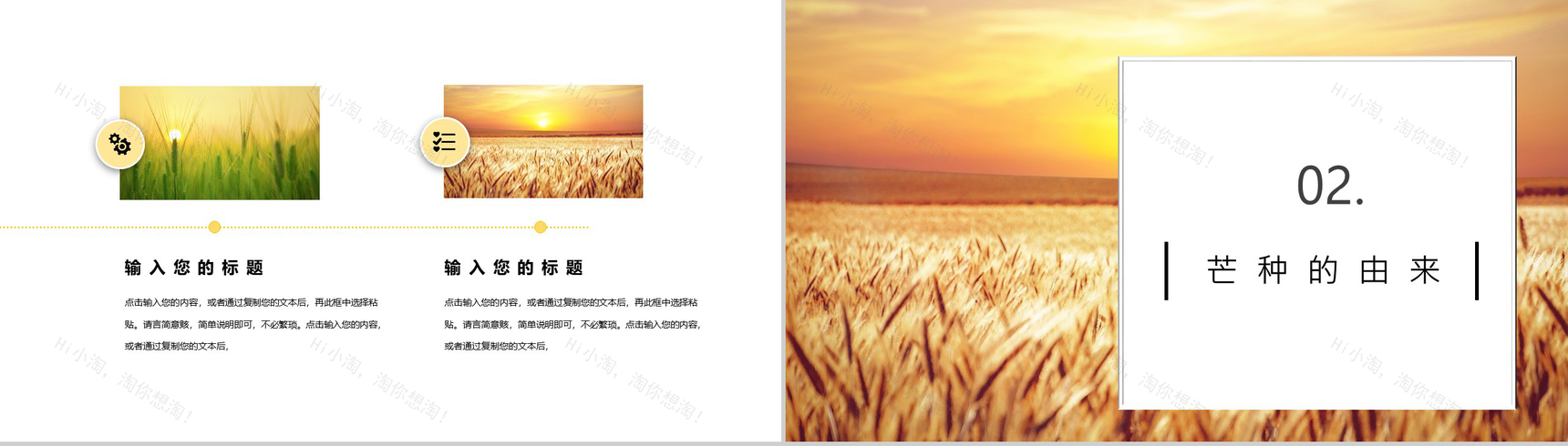 24节气芒种习俗由来介绍PPT模板-4