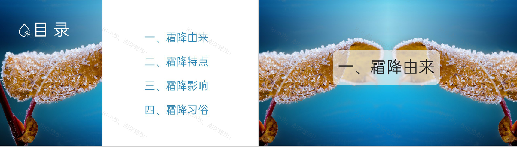 蓝色小清新风二十四节气霜降节气霜降的习俗PPT模板-2