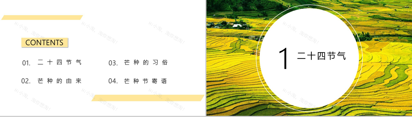 二十四节气芒种主题活动介绍PPT模板-2