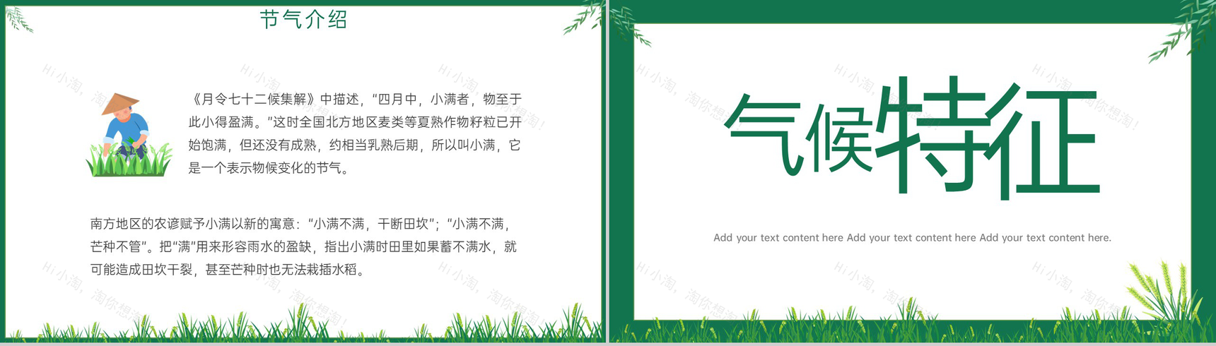 绿色简约风小满麦粒渐满二十四节气小满介绍PPT模板-4