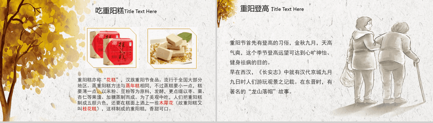 简约中国传统文化重阳节节日介绍PPT模板-5