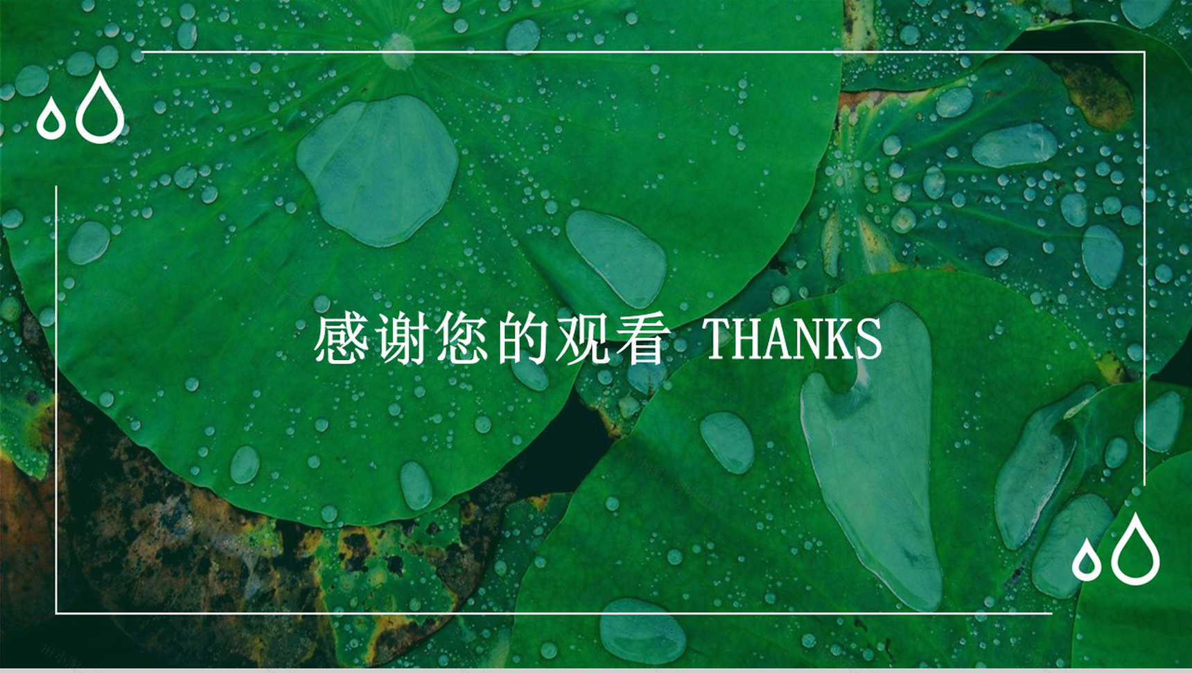 绿色荷叶大暑节气PPT模板-12