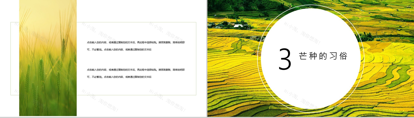 二十四节气芒种主题活动介绍PPT模板-6
