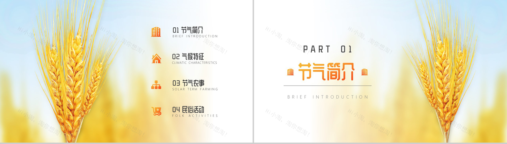 关于中国二十四节气之芒种节日的介绍PPT模板-2