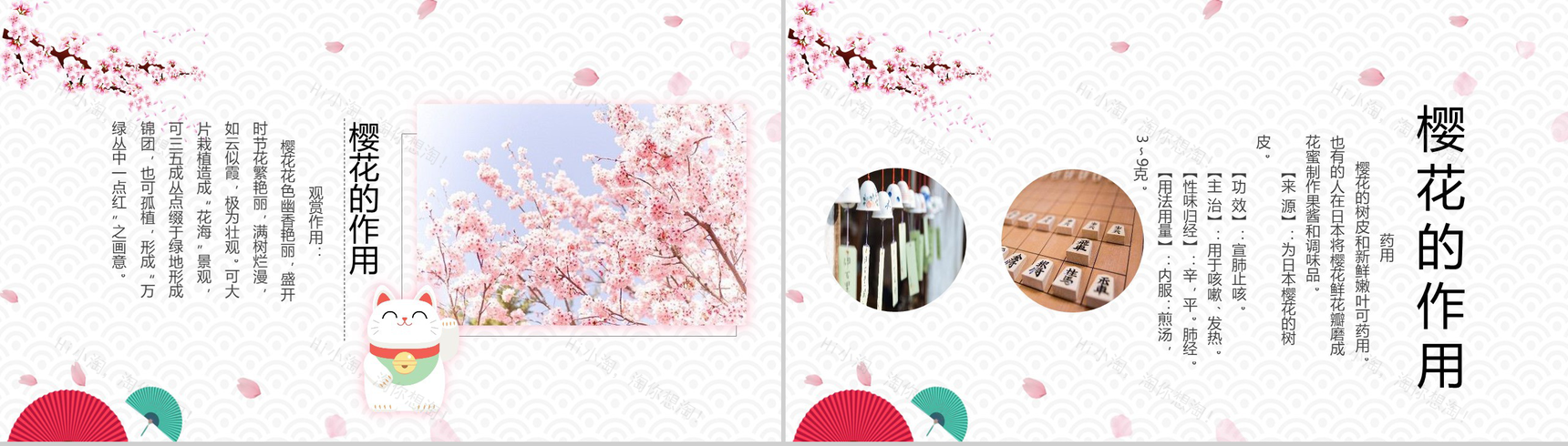 白色简约复古风樱花知识介绍PPT课件-6