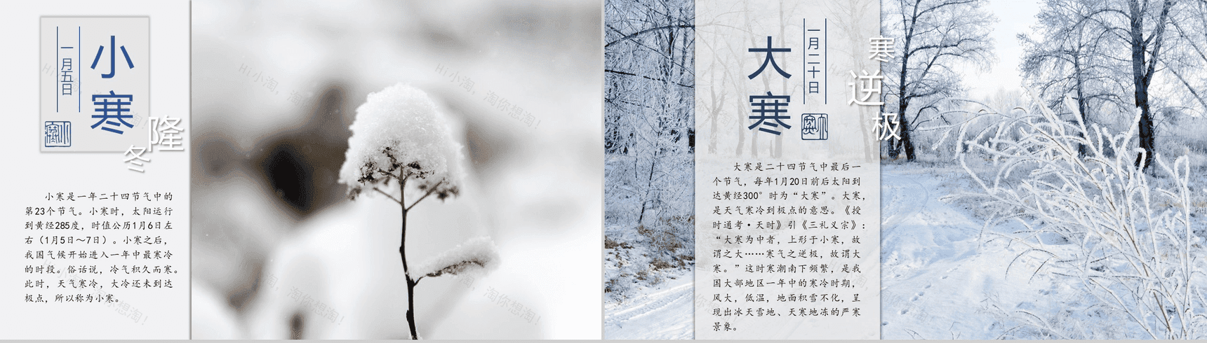 简约中国风动态二十四节气介绍PPT模板-13