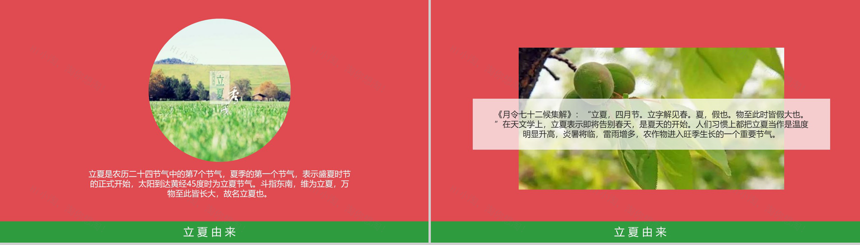 小清新立夏节气知识讲座PPT模板-3