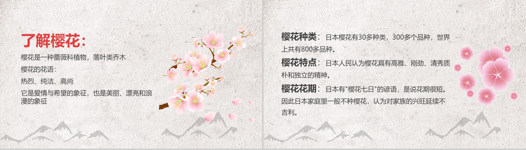 古典中国风通用樱花节PPT模板-2