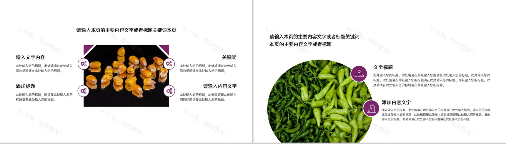 简洁杂志风五一劳动节农业招商加盟宣讲会PPT模板-8