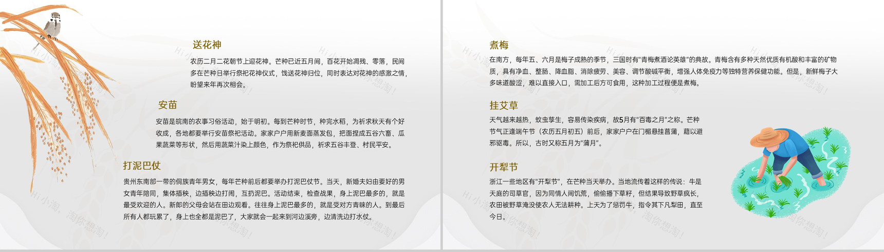 黄色中国风二十四节气之芒种文化与养生PPT模板-7