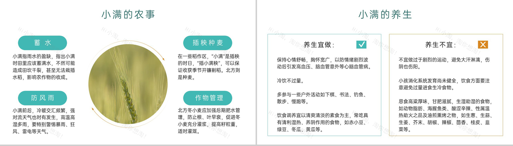 黄绿简约风二十四节气之小满介绍主题班会PPT模板-6
