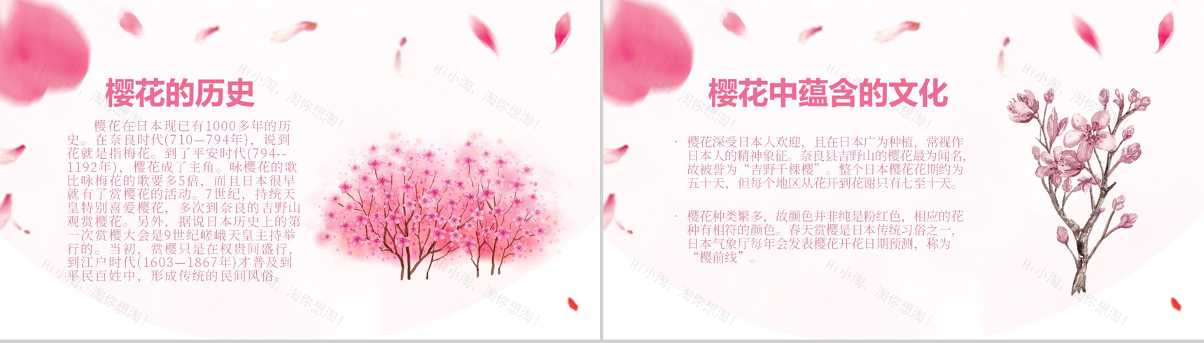 粉色清新淡雅日本樱花节樱花典故PPT模板-3