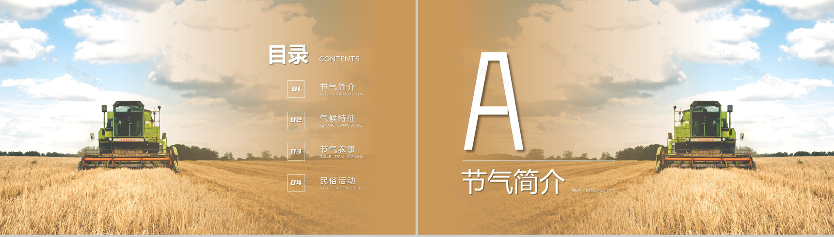 简约风格传统二十四节气芒种介绍PPT模板-2