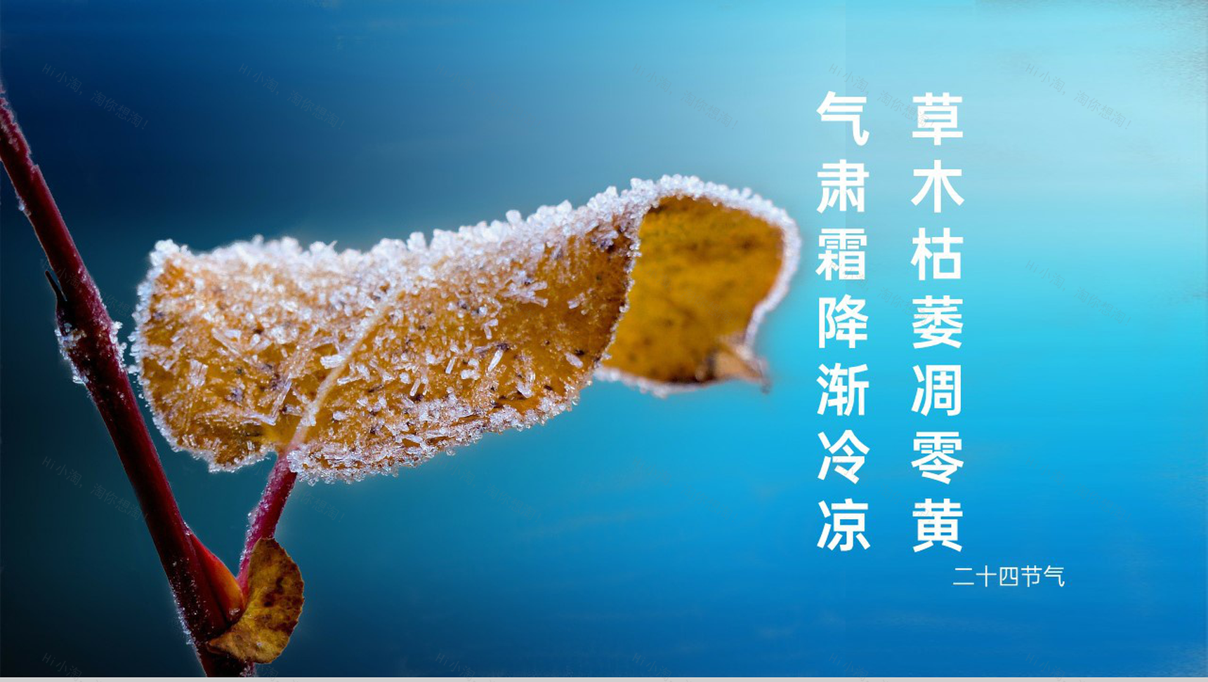 蓝色小清新风二十四节气霜降节气霜降的习俗PPT模板-9