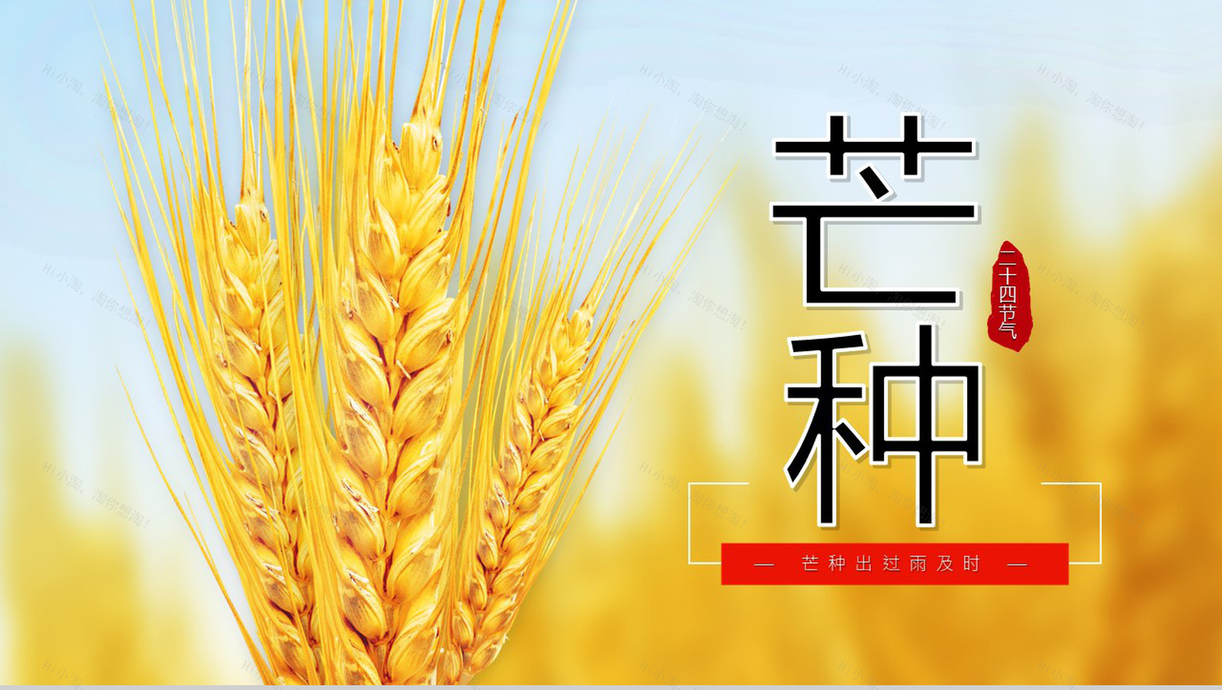 关于中国二十四节气之芒种节日的介绍PPT模板-1