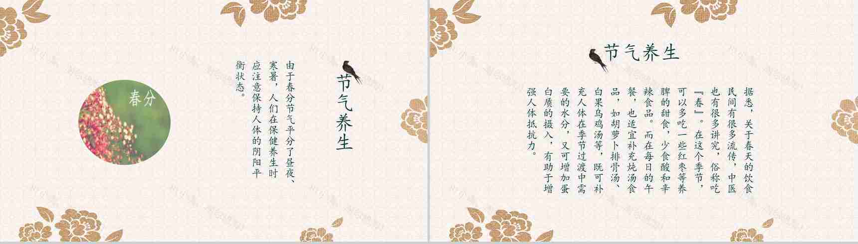 春暖花开春分节气节日庆典PPT模板-5