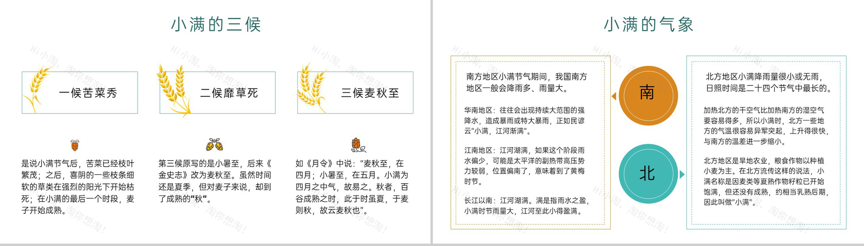黄绿简约风二十四节气之小满介绍主题班会PPT模板-5
