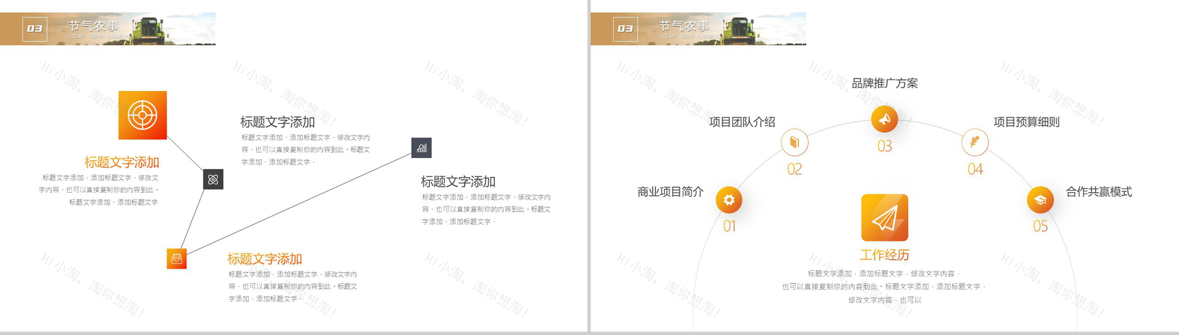 简约风格传统二十四节气芒种介绍PPT模板-7