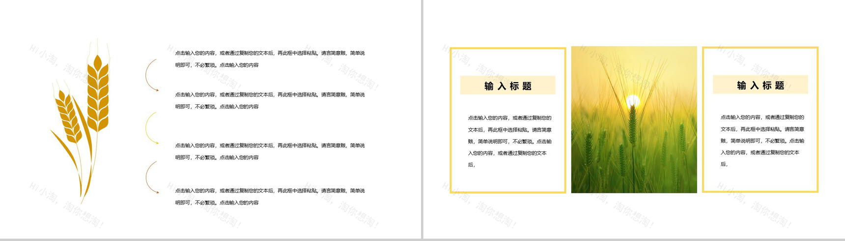 24节气芒种习俗由来介绍PPT模板-5