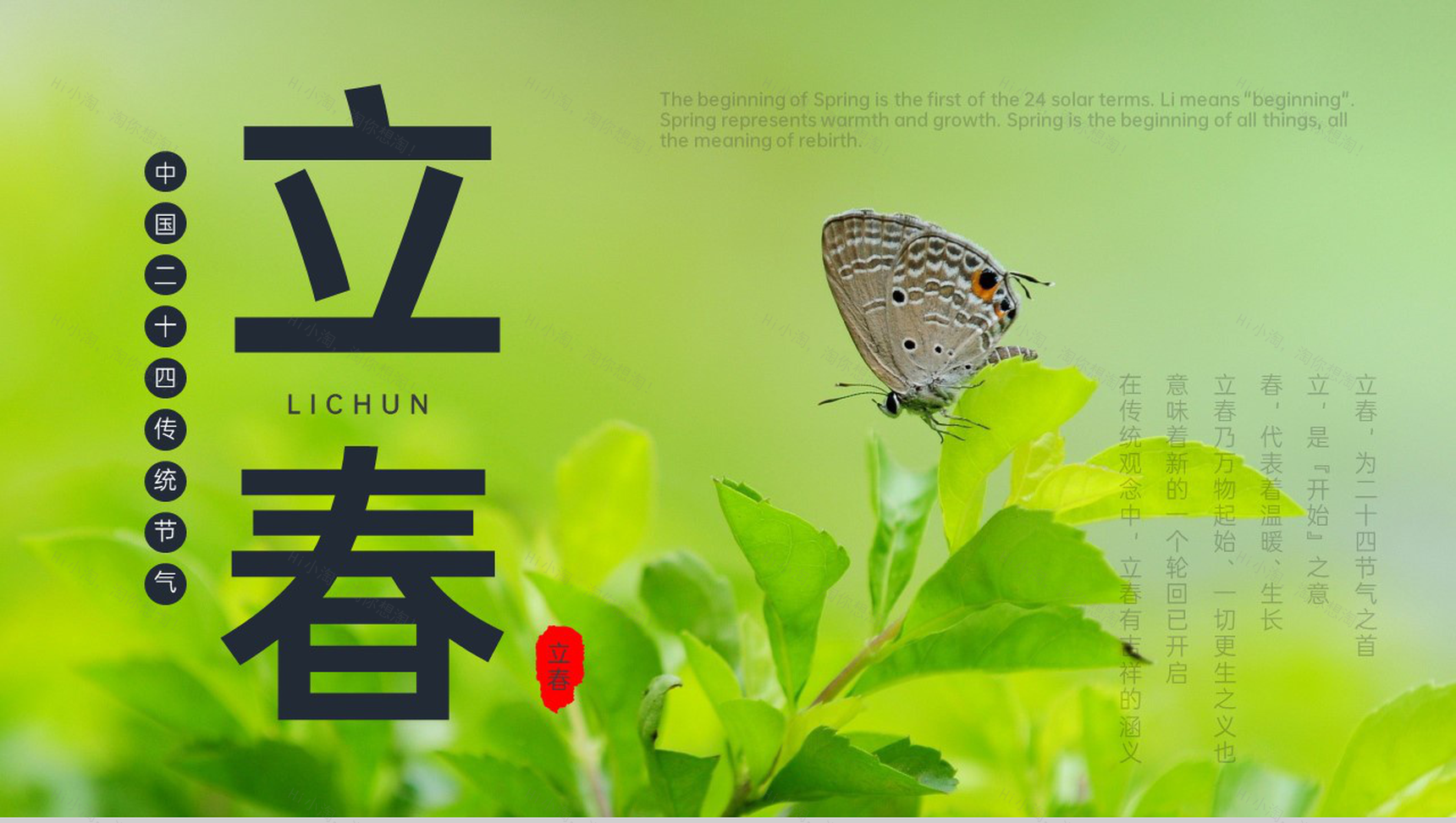 绿色简约风立春节气传统文化介绍PPT模板-1