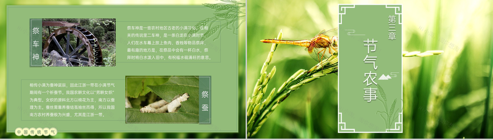 绿色自然风二十四节气小满由来习俗介绍PPT模板-6