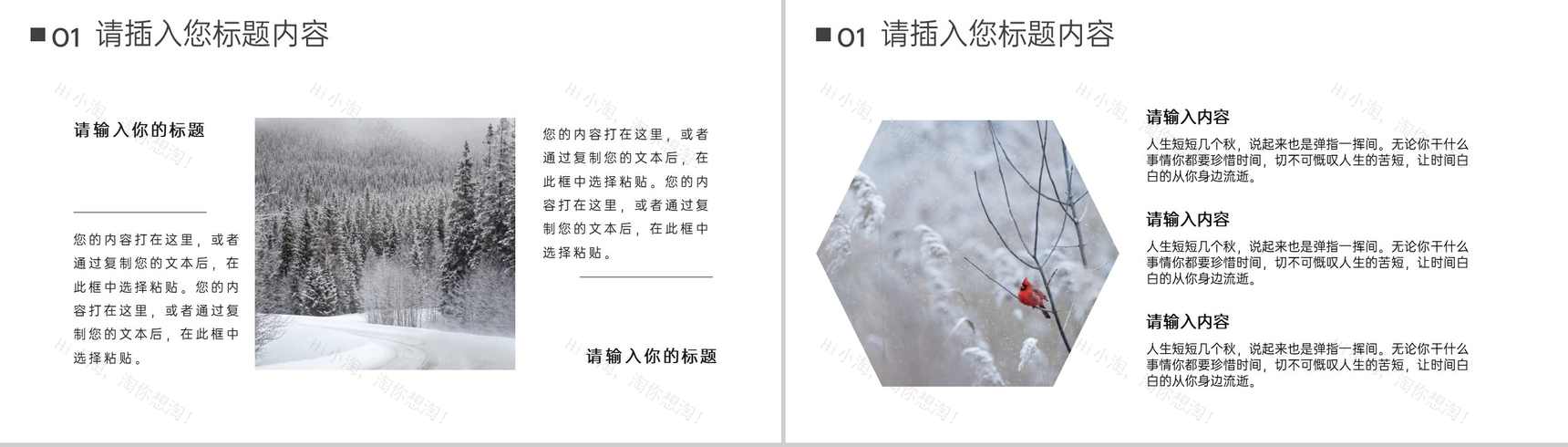 灰色杂志风传统节气冬至主题未来工作计划PPT模板-3