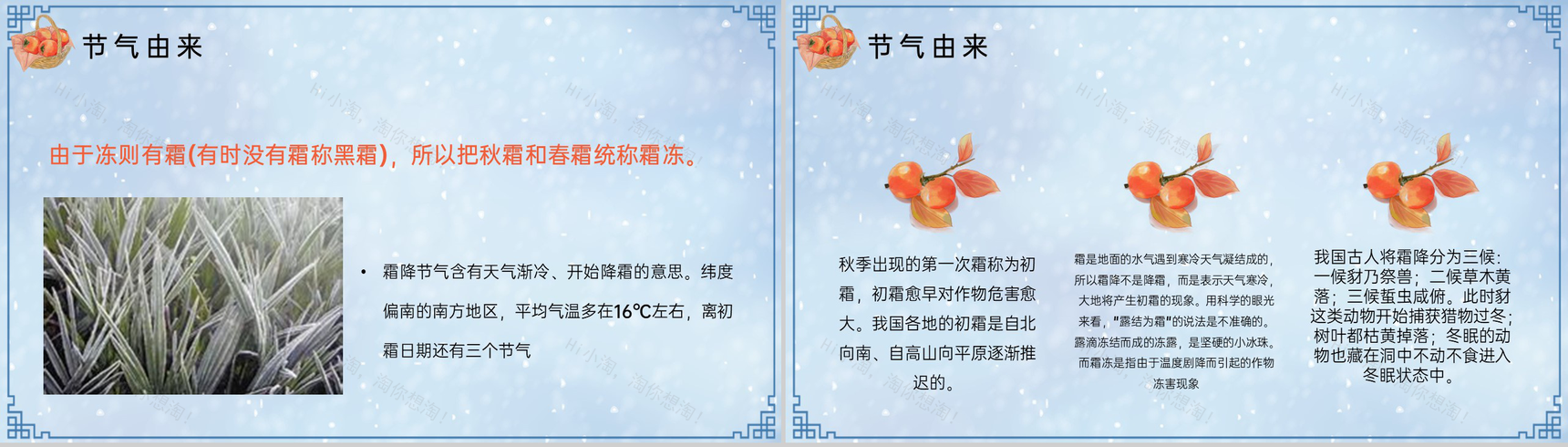 蓝色简约小清新风传统节气霜降习俗介绍PPT模板-5