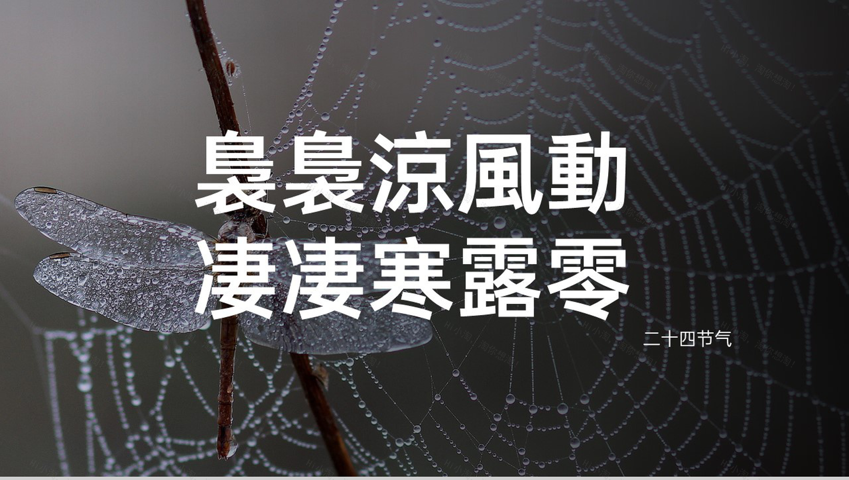 灰色简约风传统节气寒露主题工作汇报总结PPT模板-9