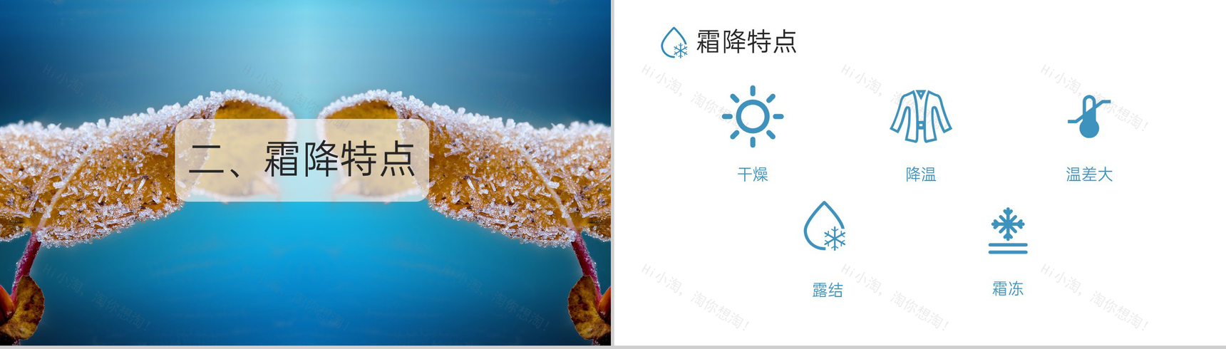 蓝色小清新风二十四节气霜降节气霜降的习俗PPT模板-4