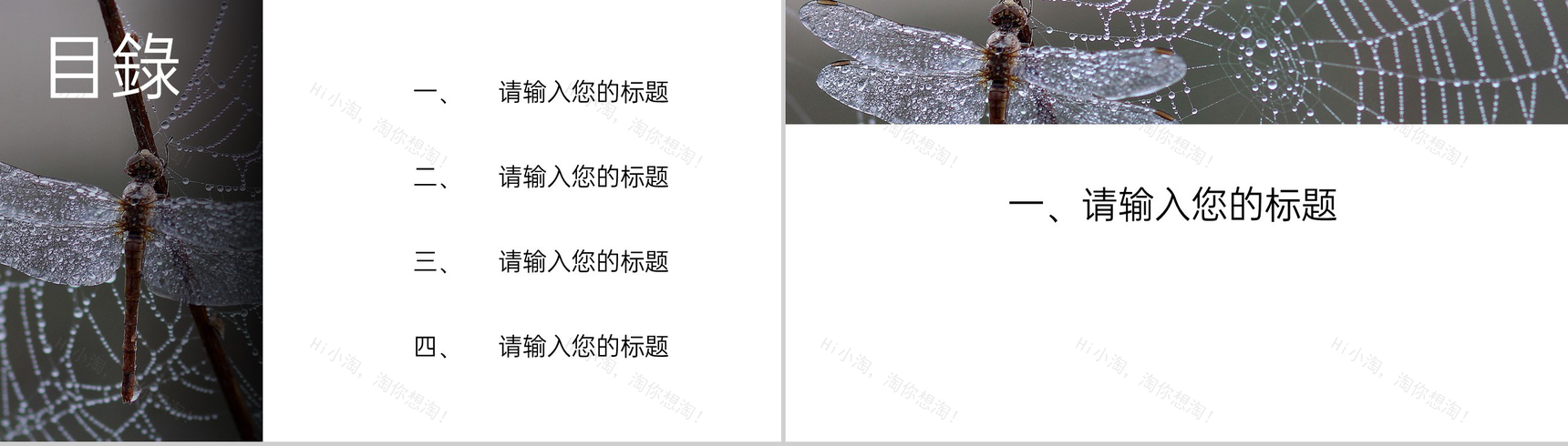 灰色简约风传统节气寒露主题工作汇报总结PPT模板-2