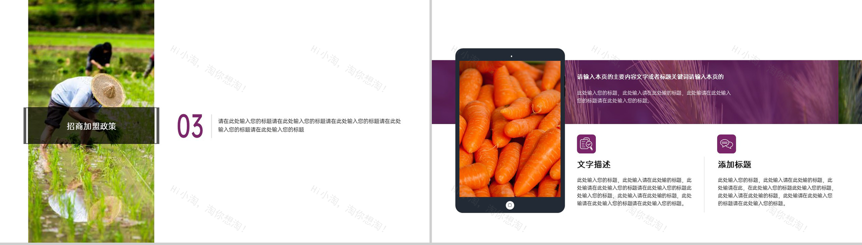 简洁杂志风五一劳动节农业招商加盟宣讲会PPT模板-7