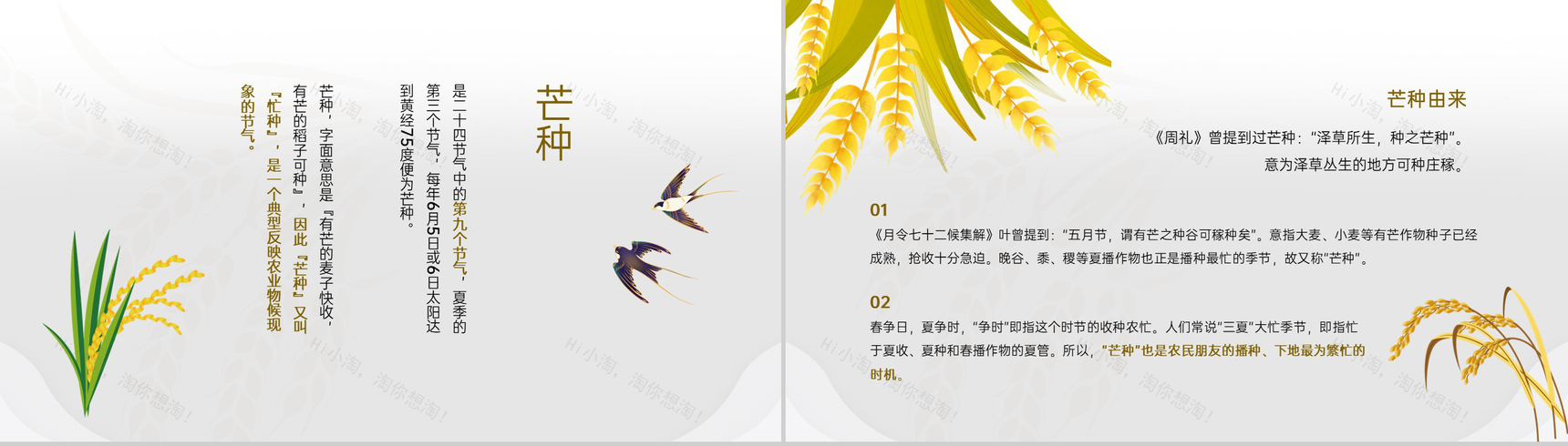 黄色中国风二十四节气之芒种文化与养生PPT模板-3