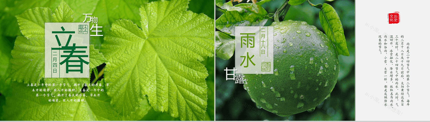 简约中国风动态二十四节气介绍PPT模板-2