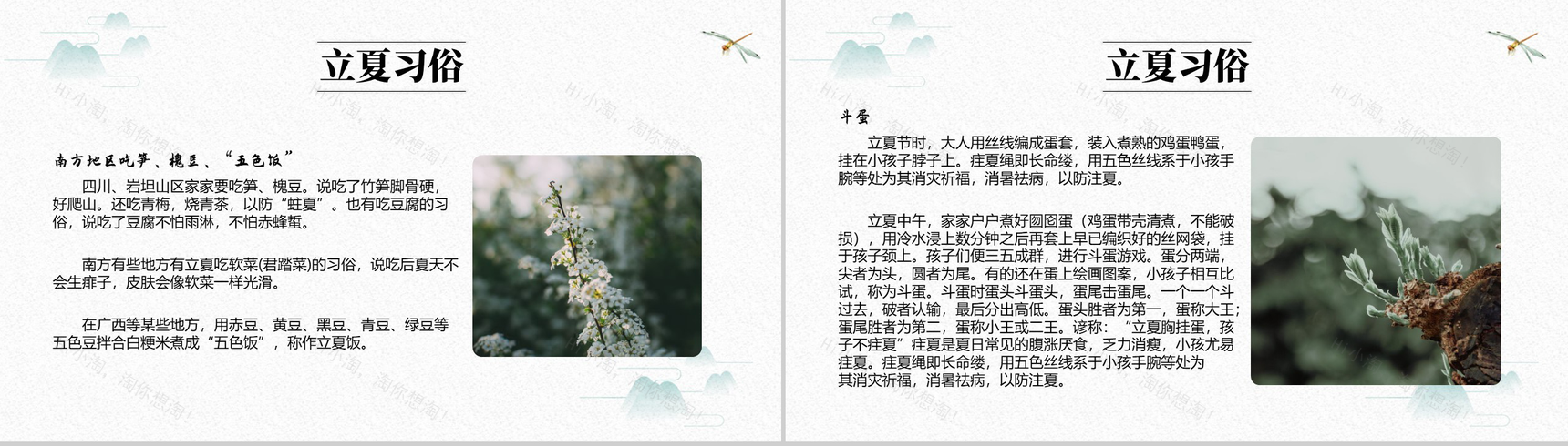 白色简约中国风传统节气立夏节日介绍PPT模板-6