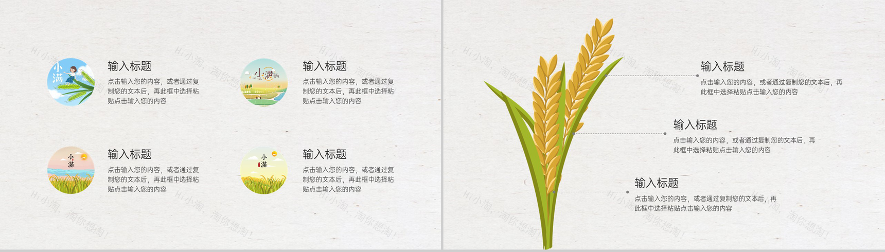浅绿清新复古二十四节气传统节日小满介绍PPT模板-5