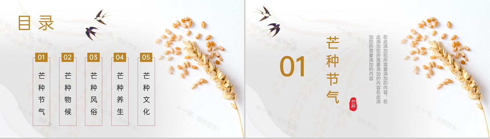 黄色中国风二十四节气之芒种文化与养生PPT模板-2