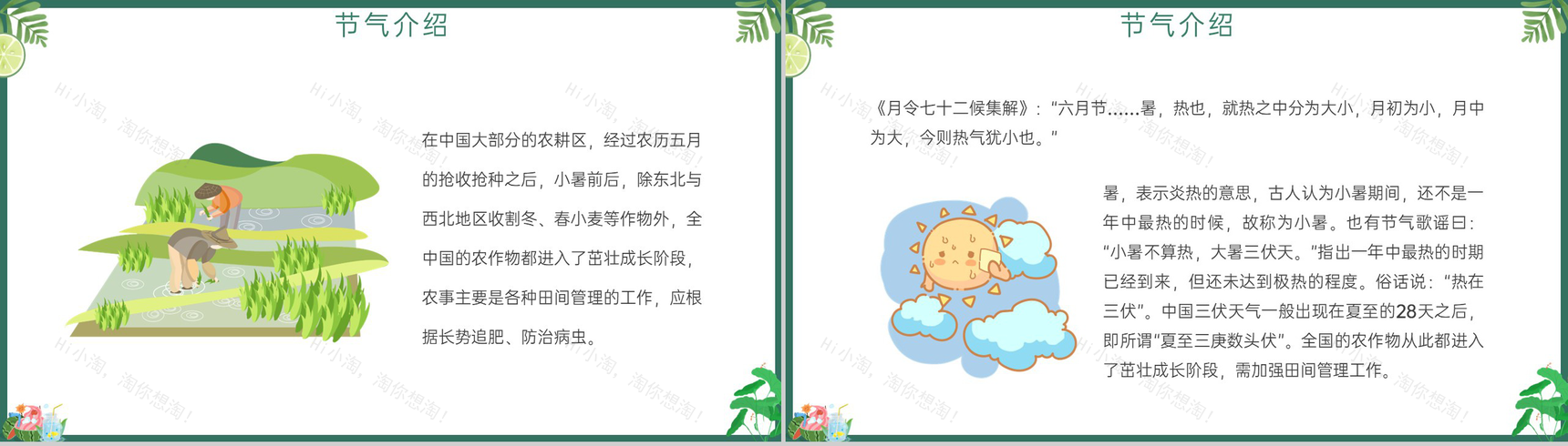 绿色清新风日热三分二十四节气之小暑介绍PPT模板-4