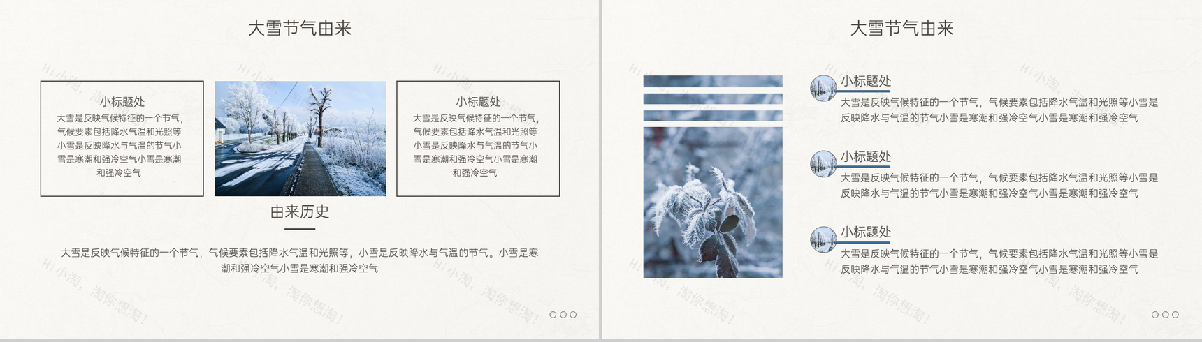 米黄简约风传统节气大雪主题活动宣传方案PPT模板-3