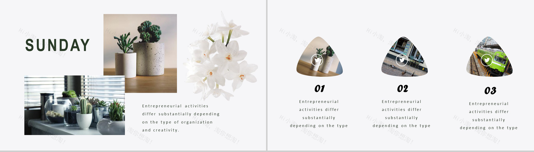 夏日清凉一夏介绍PPT模板-3